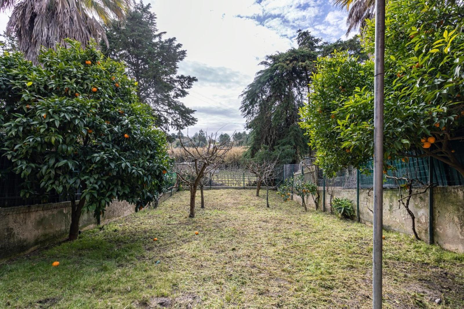 Hidden Garden Near The Castle Villa Obidos Exterior photo